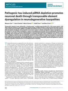 nn.2018-Pathogenic tau-induced piRNA depletion promotes neuronal death through transposable element dysregulation in neurodegenerative tauopathies