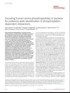 nbt.4150-Encoding human serine phosphopeptides in bacteria for proteome-wide identification of phosphorylation-dependent interactions