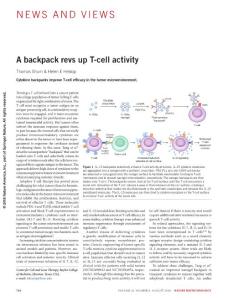nbt.4215-A backpack revs up T-cell activity