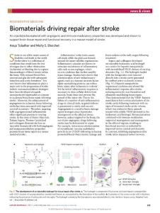 nmat.2018-Biomaterials driving repair after stroke