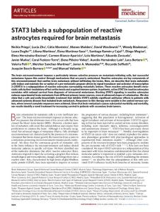 nm.2018-STAT3 labels a subpopulation of reactive astrocytes required for brain metastasis