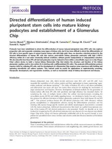 nprot.2018-Directed differentiation of human induced pluripotent stem cells into mature kidney podocytes and establishment of a Glomerulus Chip
