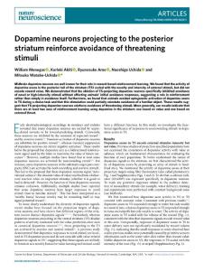 nn.2018-Dopamine neurons projecting to the posterior striatum reinforce avoidance of threatening stimuli