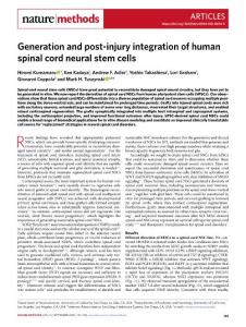 nmeth.2018-Generation and post-injury integration of human spinal cord neural stem cells