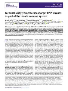 nsmb.2018-Terminal uridylyltransferases target RNA viruses as part of the innate immune system