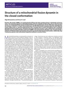nsmb.2018-Structure of a mitochondrial fission dynamin in the closed conformation