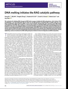 nsmb.2018-DNA melting initiates the RAG catalytic pathway