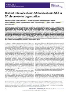 nsmb.2018-Distinct roles of cohesin-SA1 and cohesin-SA2 in 3D chromosome organization