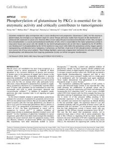 cr.2018-Phosphorylation of glutaminase by PKCε is essential for its enzymatic activity and critically contributes to tumorigenesis