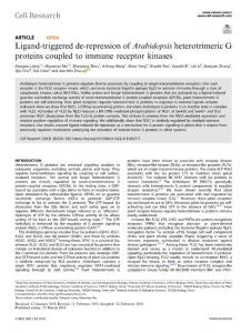 cr.2018-Ligand-triggered de-repression of Arabidopsis heterotrimeric G proteins coupled to immune receptor kinases