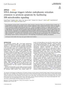 cr.2018-DNA damage triggers tubular endoplasmic reticulum extension to promote apoptosis by facilitating ER-mitochondria signaling