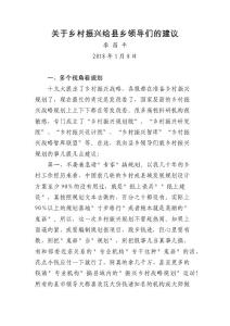 关于乡村振兴给县乡领导们的建议