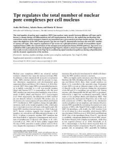 Genes Dev.-2018-McCloskey-Tpr regulates the total number of nuclear pore complexes per cell nucleus