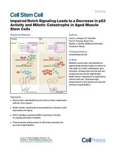 Impaired-Notch-Signaling-Leads-to-a-Decrease-in-p53-Activity-an_2018_Cell-St