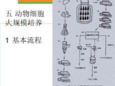 動物細(xì)胞大規(guī)模培養(yǎng)