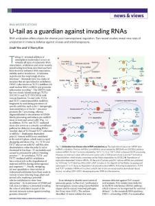 nsmb.2018-U-tail as a guardian against invading RNAs