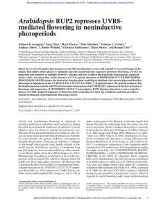 Genes Dev.-2018-Arongaus-Arabidopsis RUP2 represses UVR8- mediated flowering in noninductive photoperiods