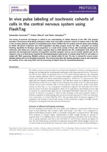 nprot.2018-In vivo pulse labeling of isochronic cohorts of cells in the central nervous system using FlashTag