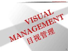 Visual Management 3(Chinese)