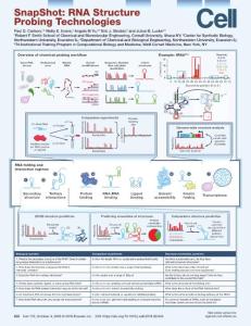 SnapShot--RNA-Structure-Probing-Technologies_2018_Cell