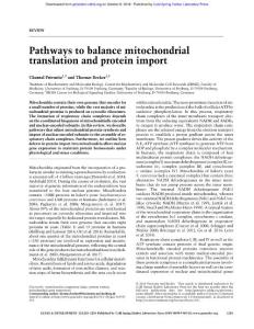 Genes Dev.-2018-Priesnitz-1285-96-Pathways to balance mitochondrial translation and protein import