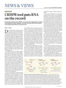 nature.2018-CRISPR tool puts RNA on the record