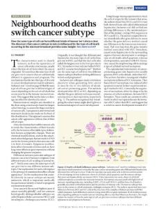 nature.2018-Neighbourhood deaths cause a switch in cancer subtype