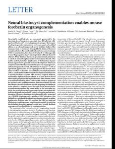 nature.2018-Neural blastocyst complementation enables mouse forebrain organogenesis
