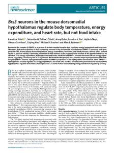nn.2018-Brs3 neurons in the mouse dorsomedial hypothalamus regulate body temperature, energy expenditure, and heart rate, but not food intake