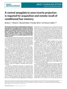 nn.2018-A central amygdala to zona incerta projection is required for acquisition and remote recall of conditioned fear memory