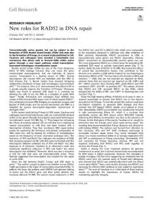 cr.2018-New roles for RAD52 in DNA repair