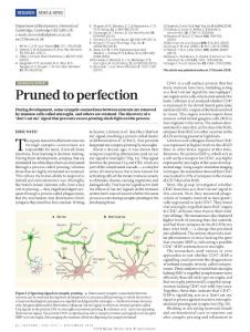 nature.2018-A ‘don’t eat me’ immune signal protects neuronal connections
