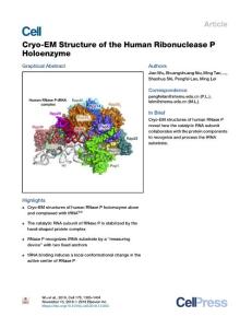 Cryo-EM-Structure-of-the-Human-Ribonuclease-P-Holoenzyme_2018_Cell