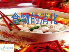 (蘇教版)四年級科學上冊課件_食物的消化_圖文.ppt