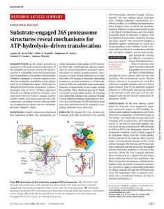 Science-2018-Substrate-engaged 26S proteasome structures reveal mechanisms for ATP-hydrolysis–driven translocation