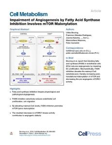 Impairment-of-Angiogenesis-by-Fatty-Acid-Synthase-Inhibition_2018_Cell-Metab
