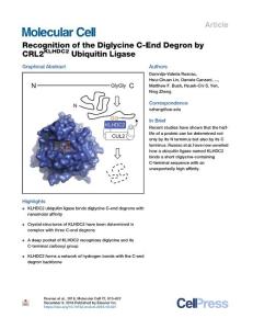 Recognition-of-the-Diglycine-C-End-Degron-by-CRL2KLHDC2-Ubi_2018_Molecular-C