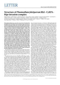 nature.2018-Structure of Plasmodium falciparum Rh5–CyRPA–Ripr invasion complex