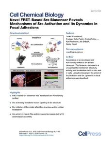 Novel-FRET-Based-Src-Biosensor-Reveals-Mechanisms-of-Src-Ac_2018_Cell-Chemic
