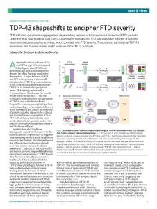 nn.2019-TDP-43 shapeshifts to encipher FTD severity