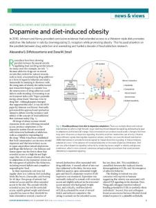 nn.2019-Dopamine and diet-induced obesity