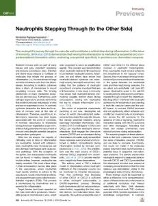 Neutrophils-Stepping-Through--to-the-Other-Side-_2018_Immunity