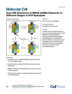 Cryo-EM-Structures-of-MDA5-dsRNA-Filaments-at-Different-Stag_2018_Molecular-