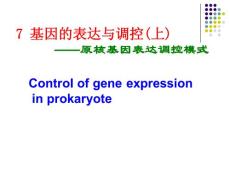 原核基因表達(dá)調(diào)控SUN1