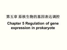 原核生物的基因表達調控