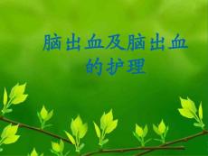 脑出血及脑出血护理ppt课件
