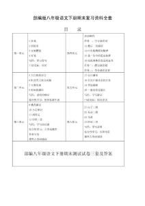 部编版八年级语文下册期末复习资料全套