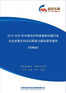 【完整版】2019-2025年中国光纤传感智能仪器行业企业发展方向及匹配能力建设研究报告