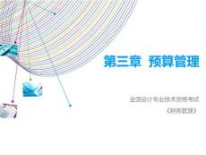 第3章 預(yù)算管理