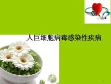 人巨细胞病毒感染ppt学习课件